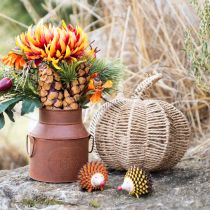 Artikel Dekorativ pumpa raffia naturlig rustik höstdekoration Ø25cm H25cm