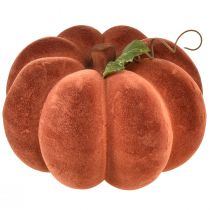 Artikel Dekorativ pumpa flockad - höstlig bordsdekoration i starkt rödbrun 20cm 2st