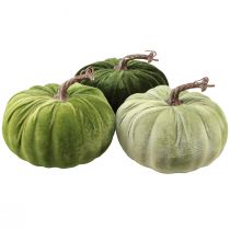 Artikel Deco pumpa höstgrön mörkgrön ljusgrön Ø18cm 3 st