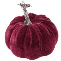 Artikel Dekorativa pumpor flockade vinröd rosa Ø13cm H11,5cm 3 st