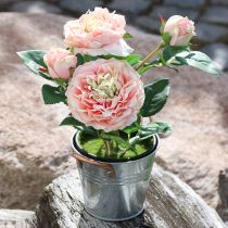 Artikel Dekorativ ros i kruka, romantiska sidenblommor, rosa pion