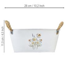 Artikel Dekorativ oval metallskål, vit med naturlig blomdekor, L26cm