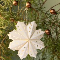 Artikel Eleganta papperssnöflingor för vinter- och juldekorationer