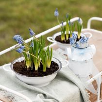 Artikel Dekorativ Skål Metall i Vit Svart Vintage Ø20,5cm 3st