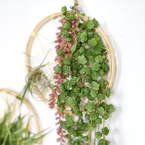 Artikel Echeveria konstgjorda hängande växter i grönt B12cm L50cm