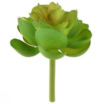 Artikel Echeveria konstgjorda suckulenter Grön Ø7cm 6 st