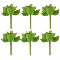 Artikel Echeveria konstgjorda suckulenter Grön Ø7cm 6 st