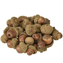 Artikel Ekollon för dekoration, höstdekoration, naturliga höstfrukter Ø1,5 – 2,5 cm L1,5 – 3 cm 300 g