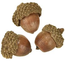Artikel Ekollon för dekoration, höstdekoration, naturliga höstfrukter Ø1,5 – 2,5 cm L1,5 – 3 cm 300 g