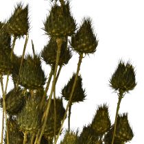 Artikel Jordgubbstistel torr dekoration olivgrön Ø1–2cm L55cm 100g