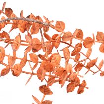 Artikel Konstgjord Eucalyptushängare Höst Eucalyptus Orange 150cm