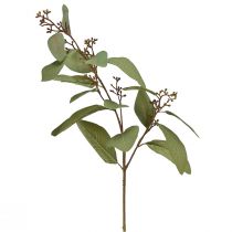 Artikel Eukalyptusgren konstgjord dekorativ gren grön konstgjord gren 60cm