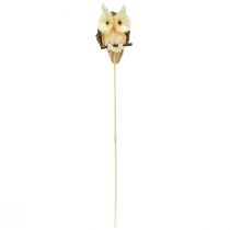 Artikel Uggla dekorativa blomproppar höstdekoration natur Ø4cm H8cm 4st