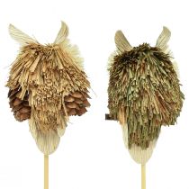 Artikel Uggla dekorativa blomproppar höstdekoration natur Ø4cm H8cm 4st