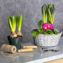Artikel Flätad korg som snygg blomsterdekoration i vardagsrummet. Påskkorg, 23 cm, 6 delar.