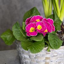 Artikel Flätad korg som snygg blomsterdekoration i vardagsrummet. Påskkorg, 23 cm, 6 delar.