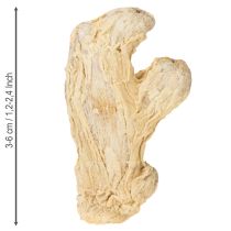 Artikel Torkad ingefära dekoration naturlig dekoration 500g