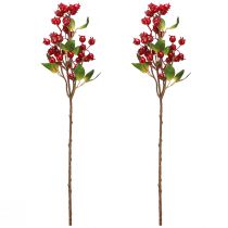 Artikel Nypon dekorativ gren med röda frukter L60cm 2 st