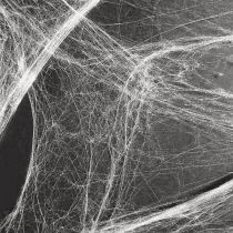 Artikel Halloweendekoration spindelnät 70×100cm 150g