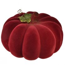 Artikel Höstdekoration pumpa flockad röd vinröd - pumpa dekoration för en unik höststämning 32cm