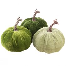 Artikel Höstdekoration pumpa ljusgrön grön mörkgrön Ø13cm 3 st