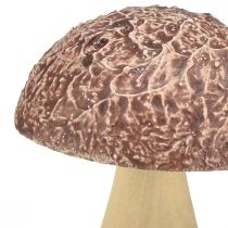 Artikel Träsvampar dekorativa svampar bordsdekoration höstbrun naturell 5×6cm 8 st