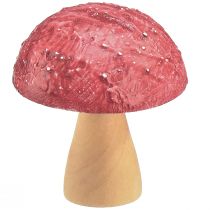 Artikel Träsvampar dekorativa svampar bordsdekoration höströd natur 5×6cm 9st