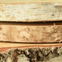 Artikel Träskivor björkträ med barkskivor Ø20-22cm 3 st