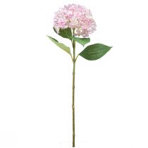 Artikel Hortensia konstgjord ljusrosa konstgjord blomsterträdgårdsblomma 65cm