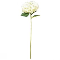 Artikel Konstgjord hortensia gigantisk dekorativ blomma vit Ø23cm L84cm