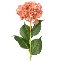 Artikel Hortensia Rosa 80cm 1 st