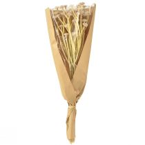 Artikel Italienska Strawflower Konstgjorda Blommor Rosa L28cm