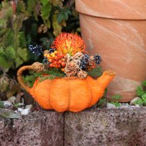 Artikel Kanna för plantering av pumpadekoration orange/gulgrön Ø13cm