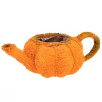 Artikel Kruka för plantering av pumpa dekoration orange/gulgrön Ø13cm