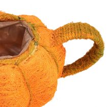 Artikel Kruka för plantering av pumpa dekoration orange/gulgrön Ø13cm