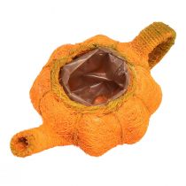 Artikel Kanna för plantering av pumpadekoration orange/gulgrön Ø13cm