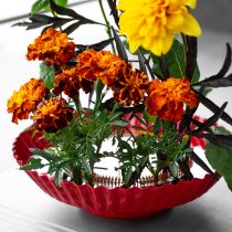 Artikel Kreativt blomsterarrangemangshjälpmedel med mässingsnålar för Ikebana och blomsterarrangemang