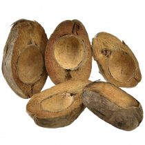 Artikel Kokos som växtskål naturlig växtkruka 20cm 5 st