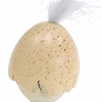 Kyckling i äggskalviten, kräm 6cm 6st