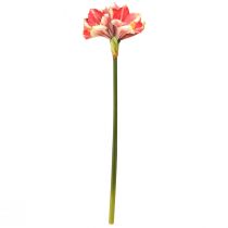 Artikel Konstgjord Amaryllis Rosa och Kräm – Stor stjälkblomma 76cm