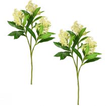Artikel Konstgjorda blommor kräm Skimmia japonica Skimmie 45cm 2st