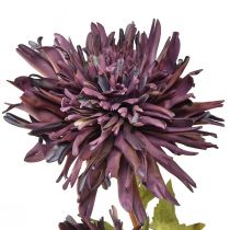 Artikel Konstgjord krysantemum 2 blommor lila Ø5/11cm L70cm
