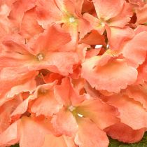Artikel Konstgjord hortensia Gigant dekorativ blomma lax Ø23cm L84cm