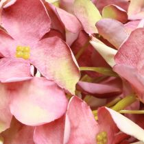 Artikel Konstgjord hortensia Stor Rosa Mauve Ø15cm L58cm 2st