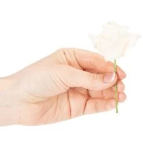 Artikel Konstgjord ros, krämfärgad, 10 cm blomma på stjälk, 100 stycken