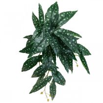 Artificiell Begonia Konstgjord växt Grön, Mörkgrön 42×28cm