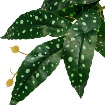 Artificiell Begonia Konstgjord växt Grön, Mörkgrön 42×28cm