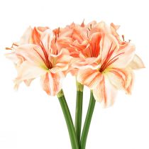 Artikel Konstgjord riddarstjärna Konstgjorda blommor Vit Röd Orange Amaryllis 40cm 3st