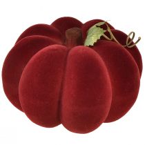 Artikel Pumpa dekoration flockad pumpa röd vinröd sammetslen look 20cm 2st