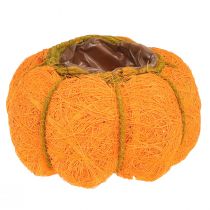Artikel Pumpaväxtkruka orange/gulgrön gjord av sisal Ø15cm H9cm